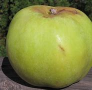 Image result for Pound Sweet Apple