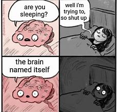 Image result for Brain Before Sleep Meme