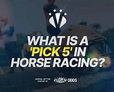Image result for horse racing pick 5