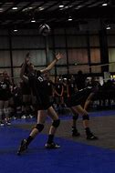 Image result for Go See a Volleyball Match
