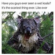 Image result for Kuala Memes