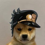 Image result for Doge with Luffy Hat