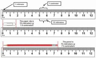 Image result for Things Measured in Millimeters