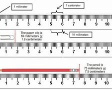 Image result for Peter Meter Ruler Measure