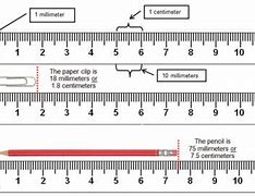 Image result for How Long Is 8 Centimeters