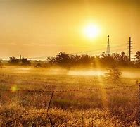 Image result for Newer Summer Sun