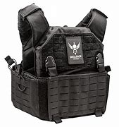 Image result for Shell Black Tactical Plate Carrier