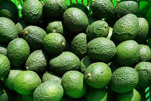 Image result for aguacatero