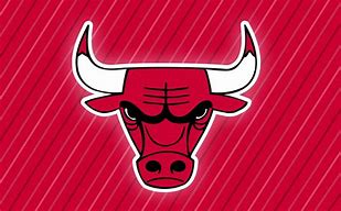 Image result for NBA Teams All 30 Bulls