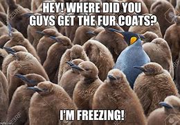 Image result for Fur Coat Meme