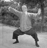 Image result for Under Shirt Traditional Old Man Style Tai Chi