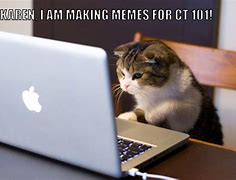 Image result for Tense Cat Meme