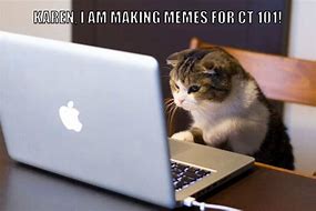 Image result for Cat Meme iPhone and Android
