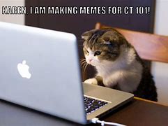 Image result for What Cat Meme