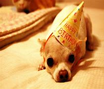 Image result for Happy Birthday Funny Kids