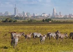 Image result for Best Places to Live in Kenya
