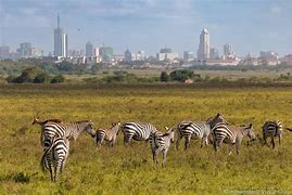Image result for Kenya Things to Do