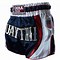 Image result for Barbarian Muay Thai Shorts