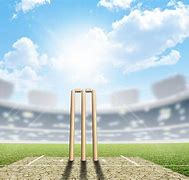 Image result for Cricket Pitch 1080P Wallpaper