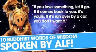 Image result for Funny Alf Quotes