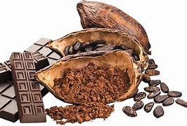 Image result for Cocoa Nut