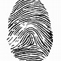 Image result for How to Draw a Fingerprint