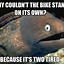 Image result for Funny Memes HD