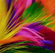 Image result for Very Colorful Phone Wallpaper