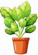 Image result for Clay Flower Pot Clip Art