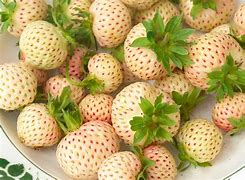 Image result for Strawberry Vector Black and White