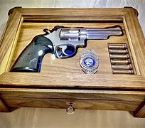Image result for Gun Presentation Case