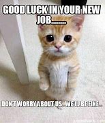 Image result for Good Luck in Your New Job Meme