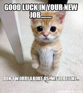Image result for Funny Good Luck for Your New Job Meme