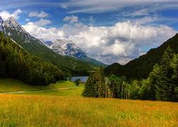 Image result for Forest Landscape View From a Hill