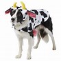 Image result for Cool Dog Costumes for Halloween