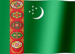 Image result for Raska Kingdom Flag