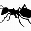 Image result for Ant Cartoon Png