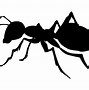 Image result for Ant Cartoon Transparent