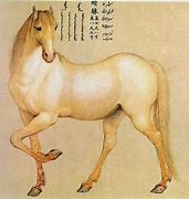 Image result for Nisean Horse
