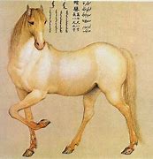 Image result for Nisean Horse