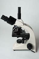 Image result for Microscope Side View