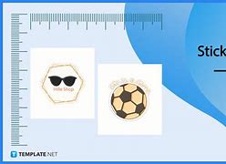Image result for Type of Sticker and Size