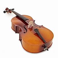 Image result for Cello 3/4
