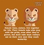 Image result for Did You Know Poster Animal