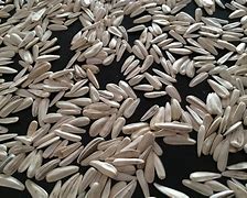 Image result for Flower bulbs & seeds