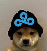 Image result for Cloud 9 PFP