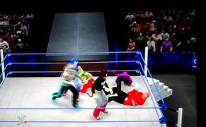 Image result for WWE Sonic