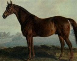 Image result for Tobaden Horse