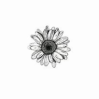 Image result for Cute Aesthetic Clip Art Black and White