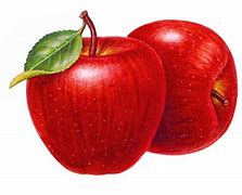 Image result for Apple Fruit Art